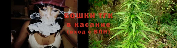 трава Инта