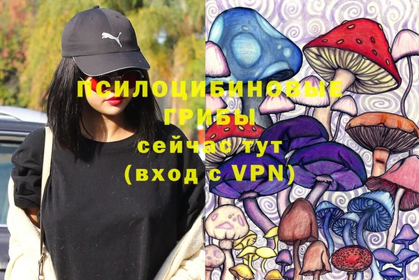 трава Инта