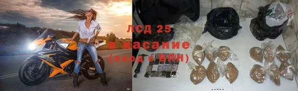 apvp Инсар
