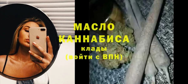 apvp Инсар