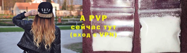 трава Инта