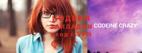 трава Инта