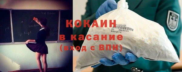 шишки Каменногорск