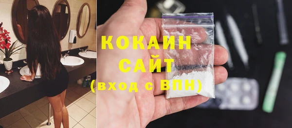 шишки Каменка