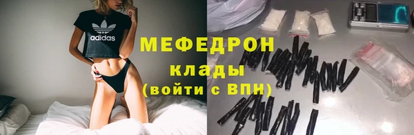 шишки Каменка