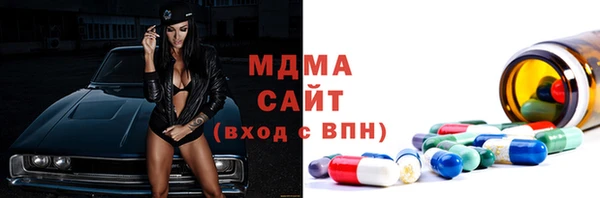 apvp Инсар