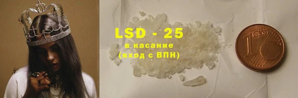 шишки Каменногорск