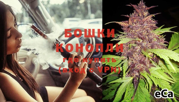 трава Инта