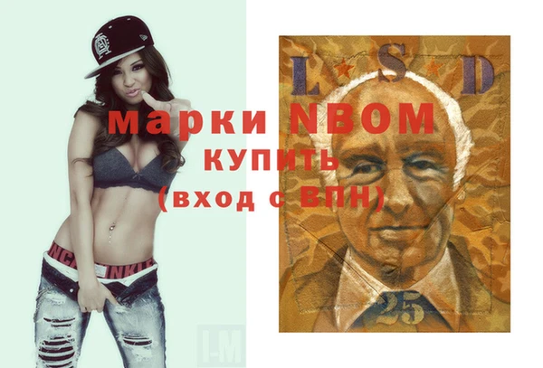 трава Инта