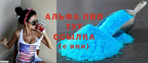 apvp Инсар