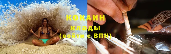 шишки Каменка
