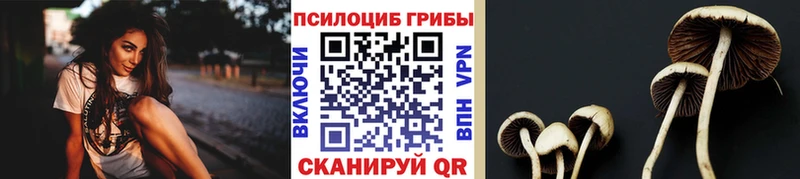 Галлюциногенные грибы ЛСД  Купить где  Ржев 